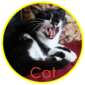 Cat Logo