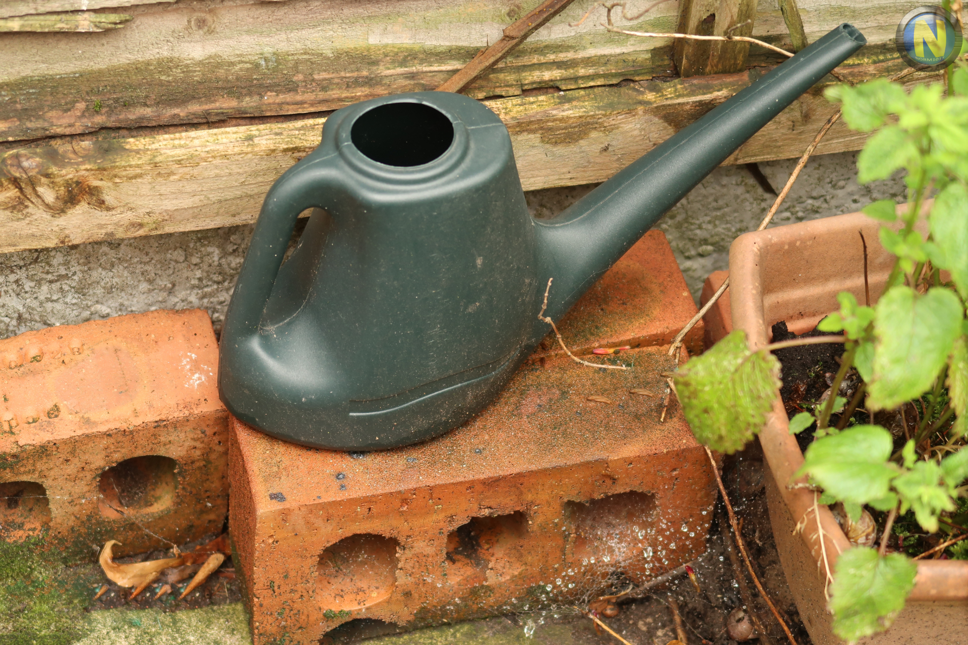 Watering can on two bricks.